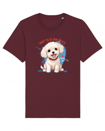 WHAT? ME BE BAD? NEVER! 2 - Bichon Burgundy