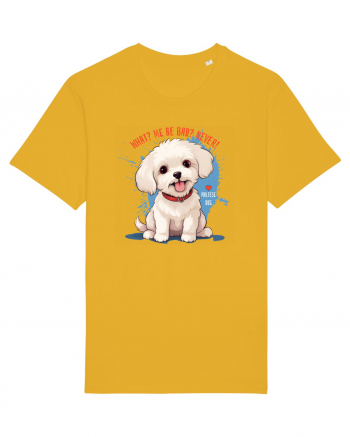 WHAT? ME BE BAD? NEVER! 2 - Bichon Spectra Yellow