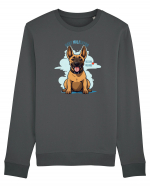 BABY MALIgator - Malinois Belgian Bluză mânecă lungă Unisex Rise