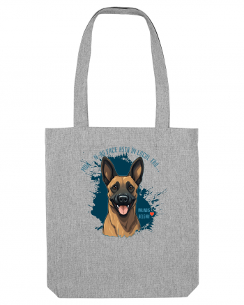 MDA, N-AS FACE ASTA - Malinois Belgian Heather Grey