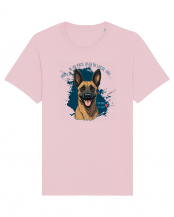 MDA, N-AS FACE ASTA - Malinois Belgian Cotton Pink