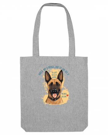 DACA AM 3 MINGI, IAR TU IEI 2 - Malinois Belgian Heather Grey