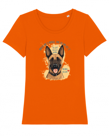 DACA AM 3 MINGI, IAR TU IEI 2 - Malinois Belgian Bright Orange