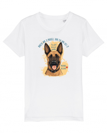 DACA AM 3 MINGI, IAR TU IEI 2 - Malinois Belgian White