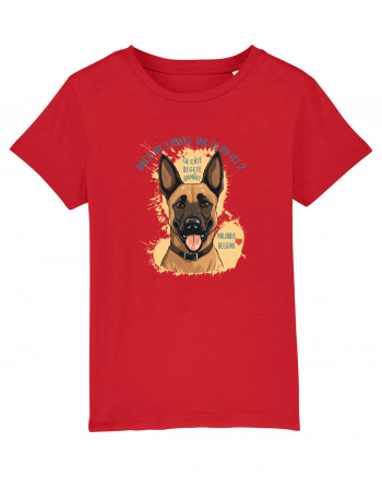 DACA AM 3 MINGI, IAR TU IEI 2 - Malinois Belgian Red