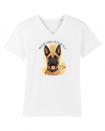 DACA AM 3 MINGI, IAR TU IEI 2 - Malinois Belgian White