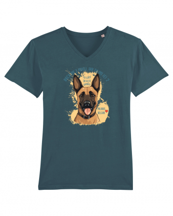 DACA AM 3 MINGI, IAR TU IEI 2 - Malinois Belgian Stargazer