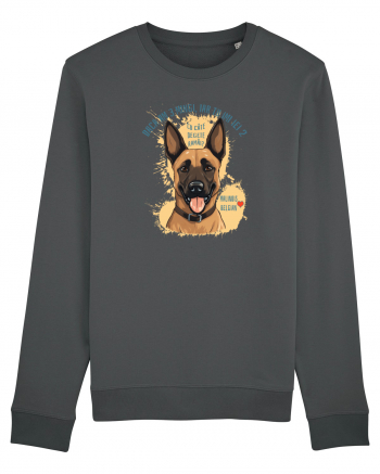 DACA AM 3 MINGI, IAR TU IEI 2 - Malinois Belgian Anthracite