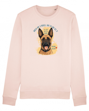 DACA AM 3 MINGI, IAR TU IEI 2 - Malinois Belgian Candy Pink