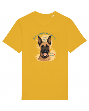 DACA AM 3 MINGI, IAR TU IEI 2 - Malinois Belgian Spectra Yellow