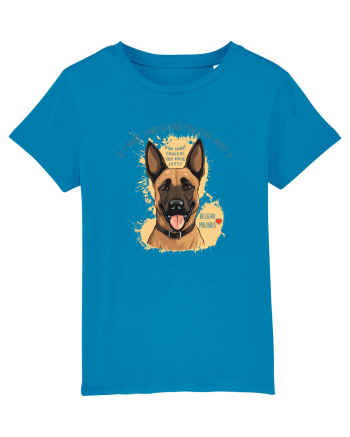 IF I HAVE 3 BALLS - Malinois Belgian Azur