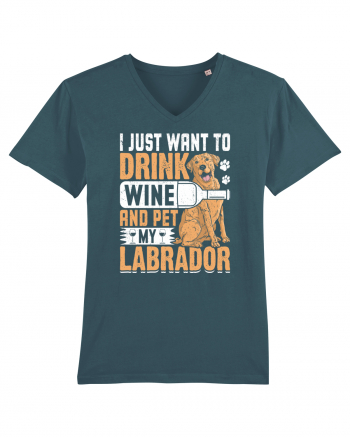 I JUST WANT TO DRINK WINE AND PET MY LABRADOR Stargazer