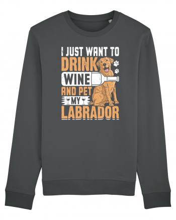 I JUST WANT TO DRINK WINE AND PET MY LABRADOR Anthracite