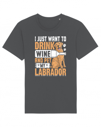 I JUST WANT TO DRINK WINE AND PET MY LABRADOR Anthracite