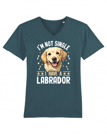 I'M NOT SINGLE I HAVE A LABRADOR Stargazer