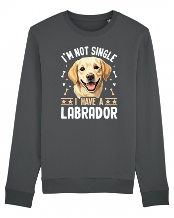 I'M NOT SINGLE I HAVE A LABRADOR Anthracite