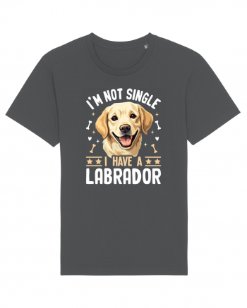 I'M NOT SINGLE I HAVE A LABRADOR Anthracite