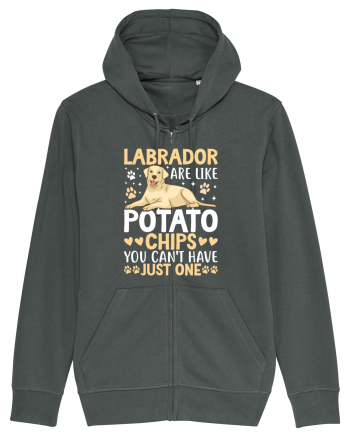Labrador Are Like Potato Chips You Can't Have Just One Anthracite