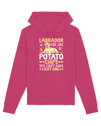 Labrador Are Like Potato Chips You Can't Have Just One Raspberry