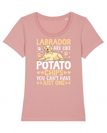 Labrador Are Like Potato Chips You Can't Have Just One Canyon Pink