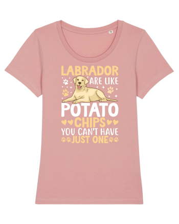 Labrador Are Like Potato Chips You Can't Have Just One Canyon Pink