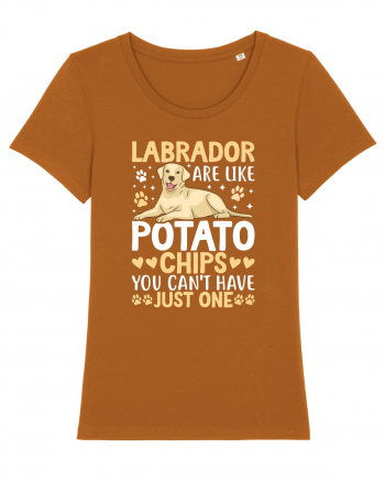Labrador Are Like Potato Chips You Can't Have Just One Roasted Orange
