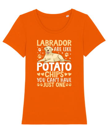 Labrador Are Like Potato Chips You Can't Have Just One Bright Orange