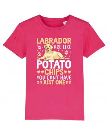 Labrador Are Like Potato Chips You Can't Have Just One Raspberry