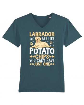 Labrador Are Like Potato Chips You Can't Have Just One Stargazer