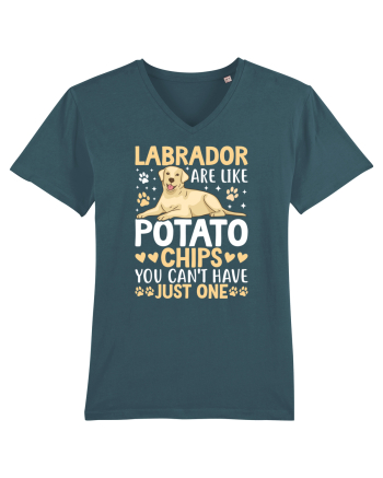 Labrador Are Like Potato Chips You Can't Have Just One Stargazer