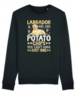 Labrador Are Like Potato Chips You Can't Have Just One Bluză mânecă lungă Unisex Rise