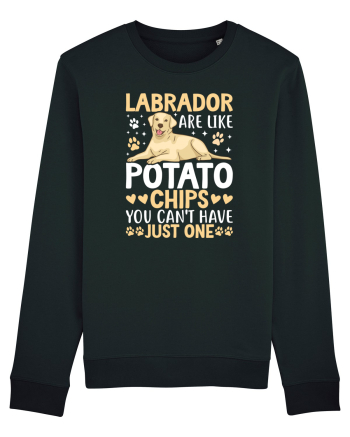 Labrador Are Like Potato Chips You Can't Have Just One Black