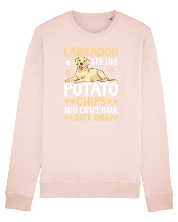Labrador Are Like Potato Chips You Can't Have Just One Candy Pink