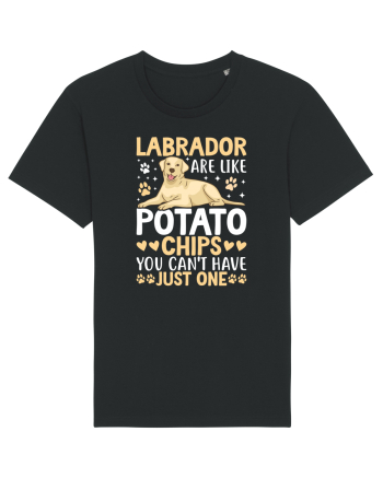 Labrador Are Like Potato Chips You Can't Have Just One Black