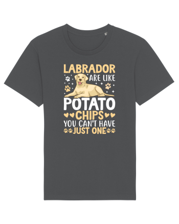 Labrador Are Like Potato Chips You Can't Have Just One Anthracite