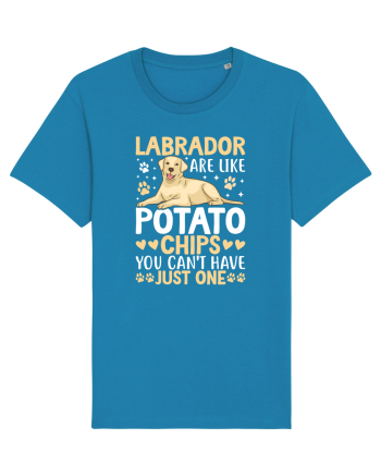 Labrador Are Like Potato Chips You Can't Have Just One Azur
