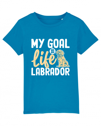 My Goal In Life Labrador Azur