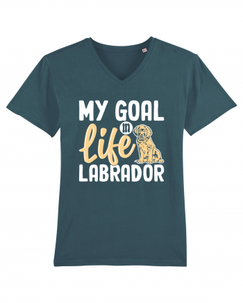 My Goal In Life Labrador Stargazer