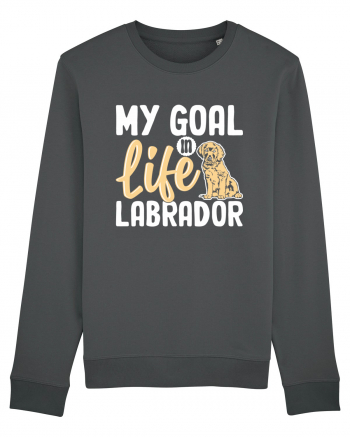 My Goal In Life Labrador Anthracite