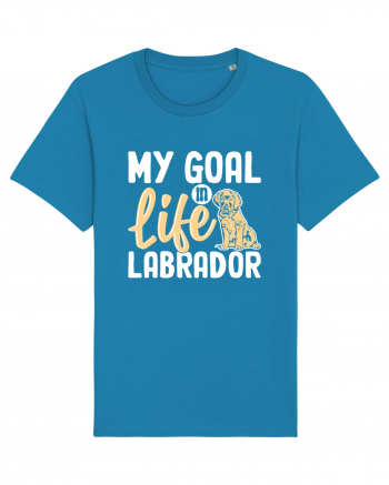 My Goal In Life Labrador Azur