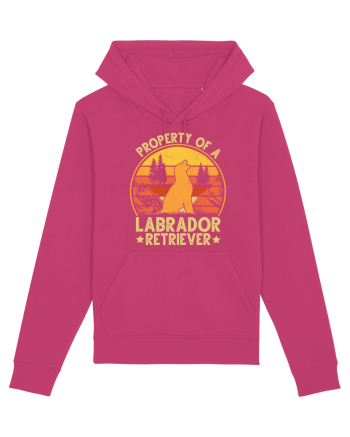 PROPERTY OF A LABRADOR RETRIEVER Raspberry