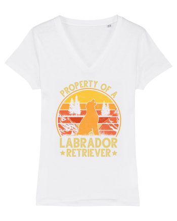 PROPERTY OF A LABRADOR RETRIEVER White
