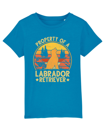 PROPERTY OF A LABRADOR RETRIEVER Azur