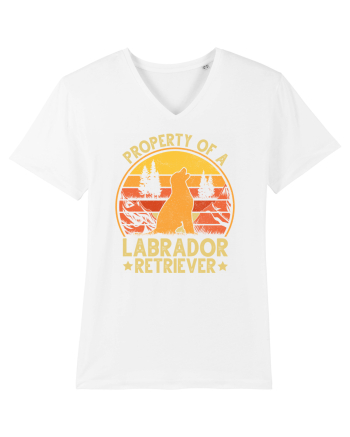 PROPERTY OF A LABRADOR RETRIEVER White