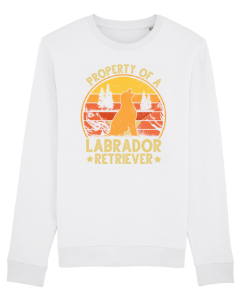 PROPERTY OF A LABRADOR RETRIEVER White