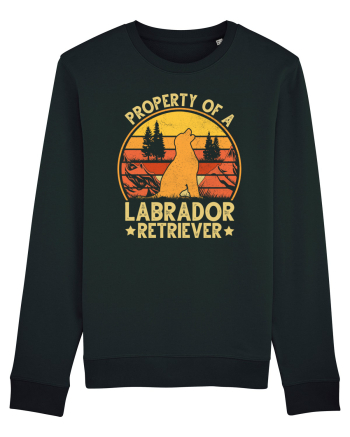 PROPERTY OF A LABRADOR RETRIEVER Black