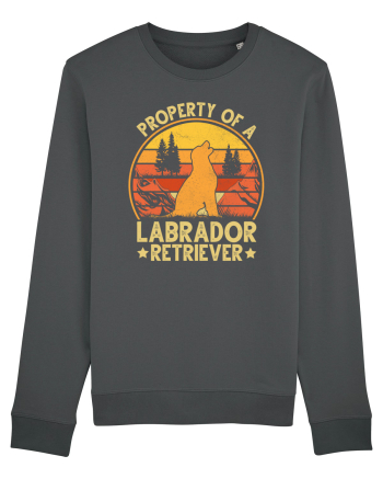PROPERTY OF A LABRADOR RETRIEVER Anthracite