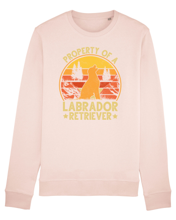 PROPERTY OF A LABRADOR RETRIEVER Candy Pink