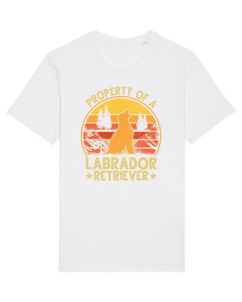 PROPERTY OF A LABRADOR RETRIEVER White