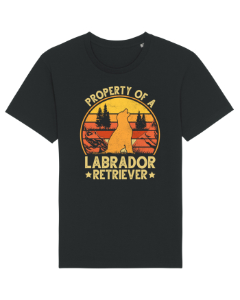 PROPERTY OF A LABRADOR RETRIEVER Black